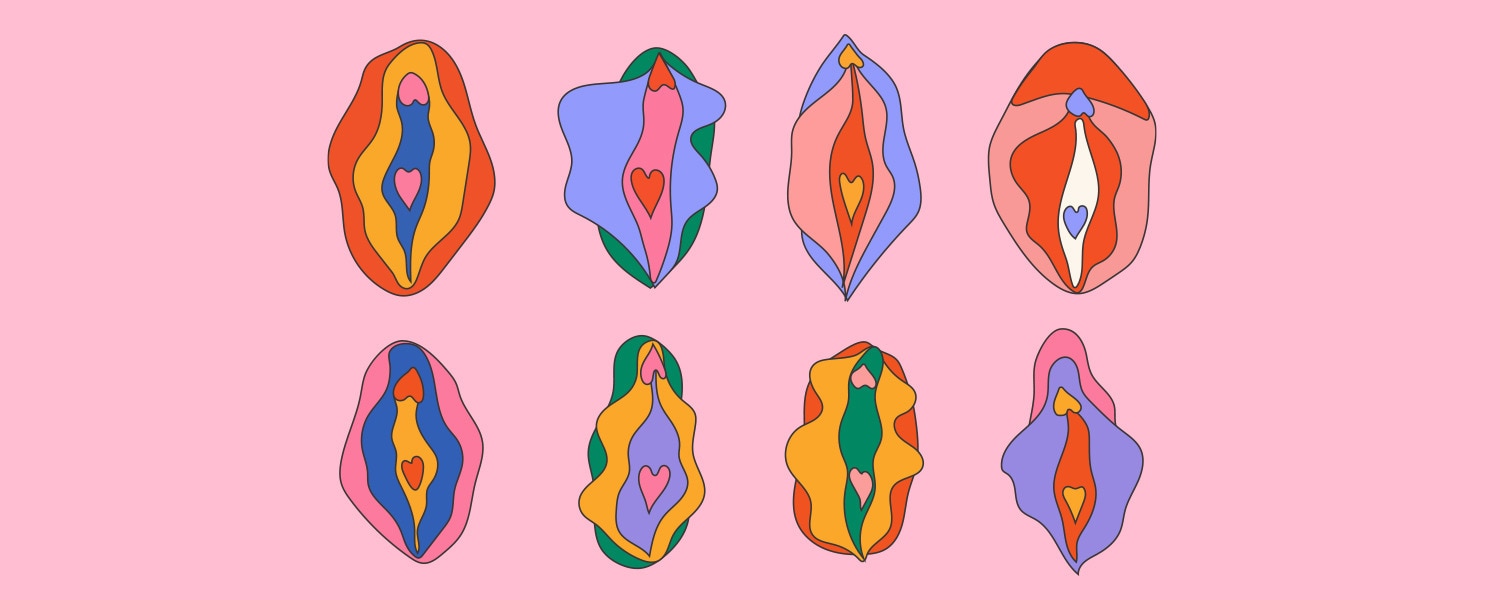 Types Of Vulva