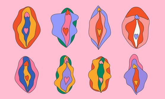 Types Of Vulva