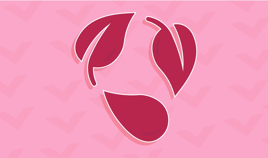 Sustainability Promise Header