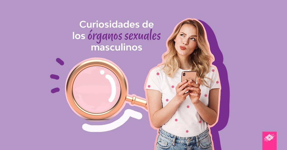 Curiosidades de los órganos sexuales masculinos