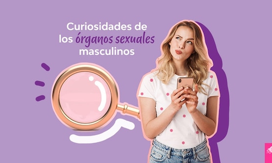 Curiosidades de los órganos sexuales masculinos