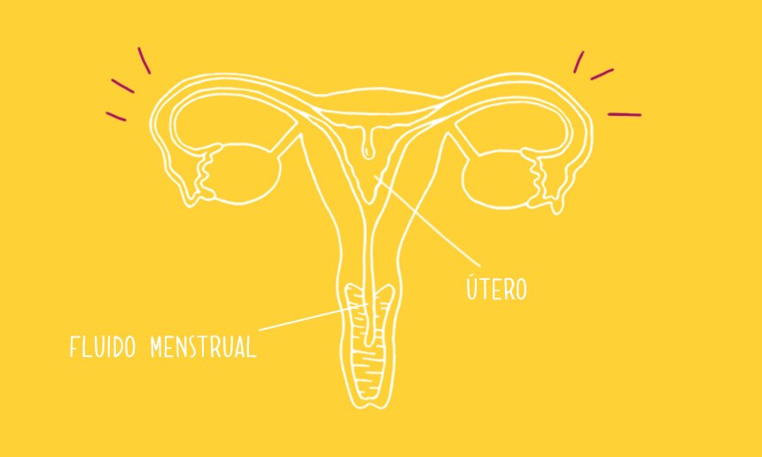 Tu primera menstruación