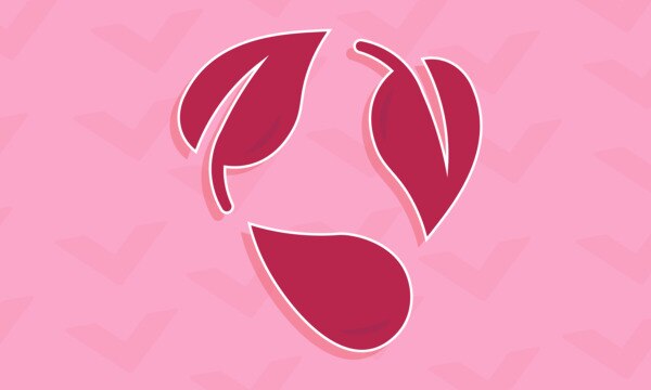 Sustainability Promise Header