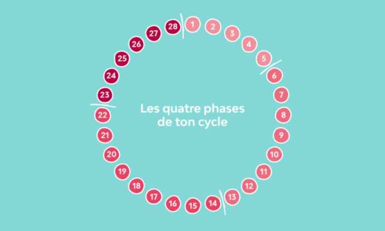 1500x600 Four Phases Hero