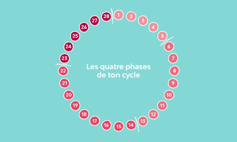 1500x600 Four Phases Hero