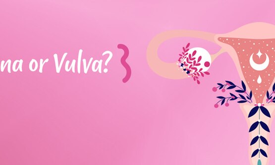 Vaginaorvula