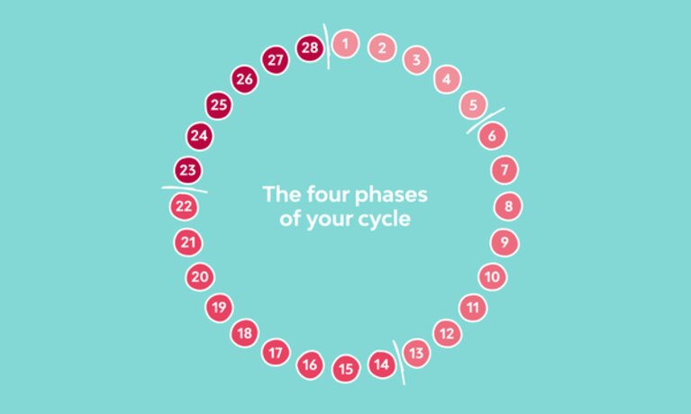 the four phases of the menstrual cycle