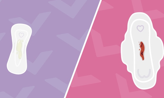 A direct visual comparison between a liner and a pad, focusing on their respective shapes and sizes. The liner features a spot of discharge, while the pad shows a spot of blood in its absorbent region.