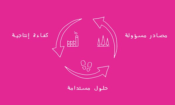 Me Our Purpose Sustainability 555x360