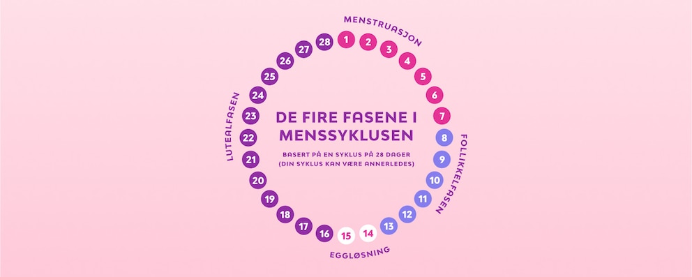 No Menscykeln Image Pink