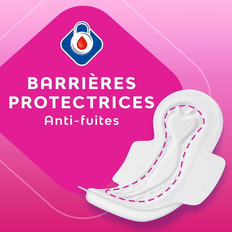 Claim Protection Barriers Nana Comfort Security Femcare Pad Wings Region South West