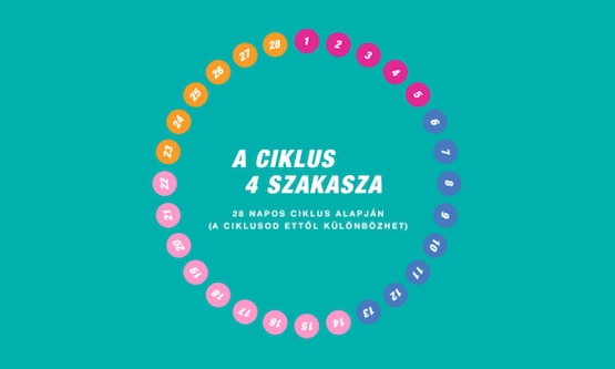 Négy szakaszból álló ciklus