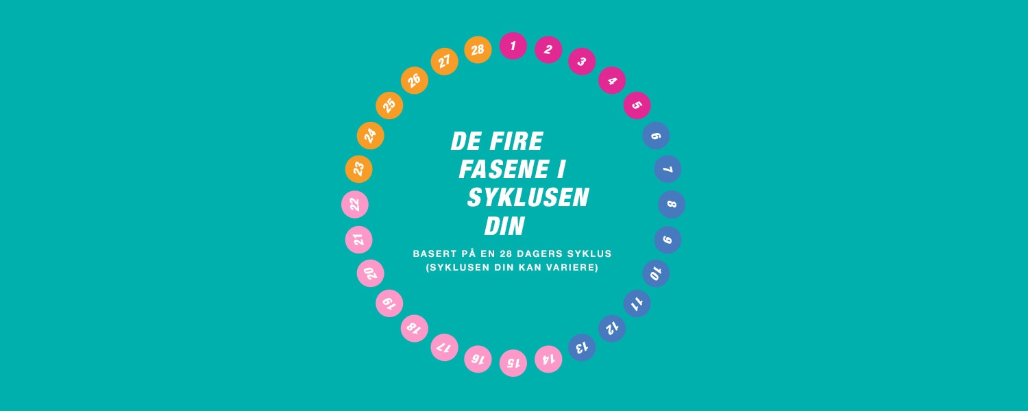 Syklus med fire faser