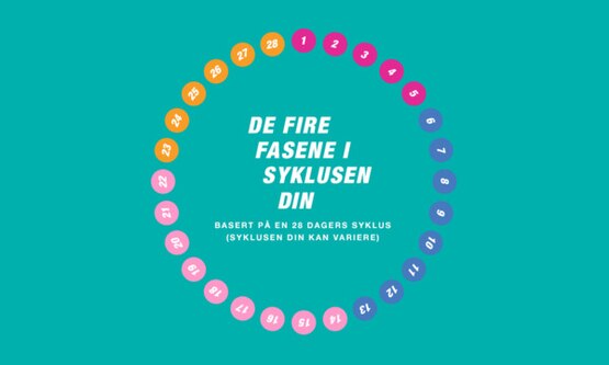 Syklus med fire faser