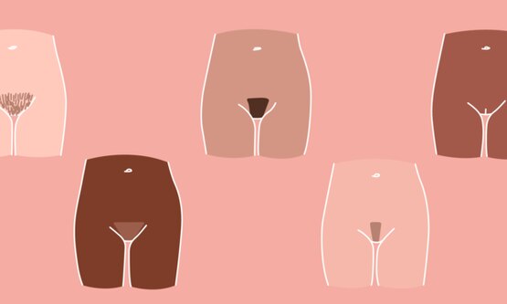 1500x600 Different Bikini Lines