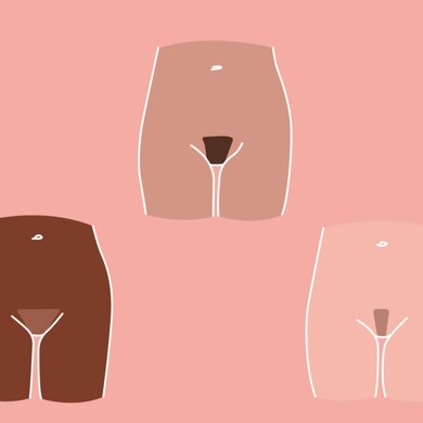 1500x600 Different Bikini Lines