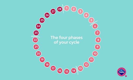 What Is The Menstrual Cycle 1500x600