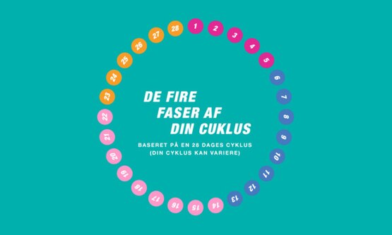 Cyklus med fire faser