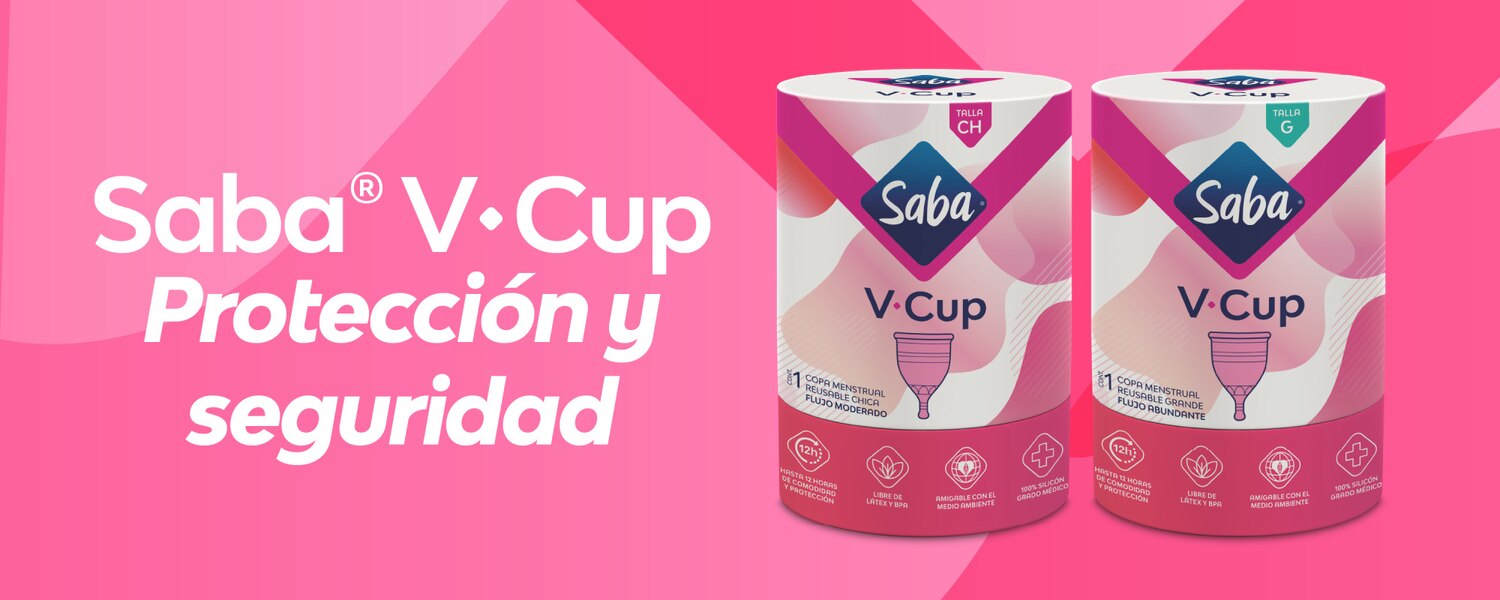 Saba V-Cup, Proteccion y Seguridad
