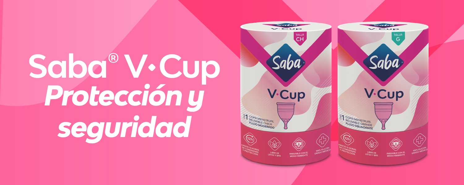 Saba V-Cup, Proteccion y Seguridad