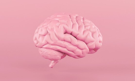 Brain 1500x600