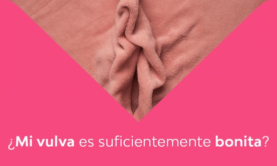 Mi Vulva Es Suficientemente Bonita