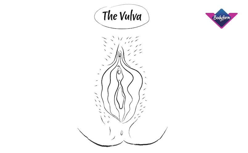 Black and white illustration of a vulva