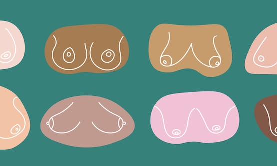 Boobs And Nipples 1500x600