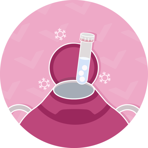 What Is Egg Freezingspot