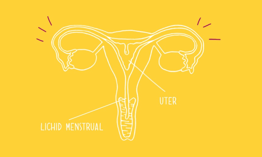 Prima menstruație