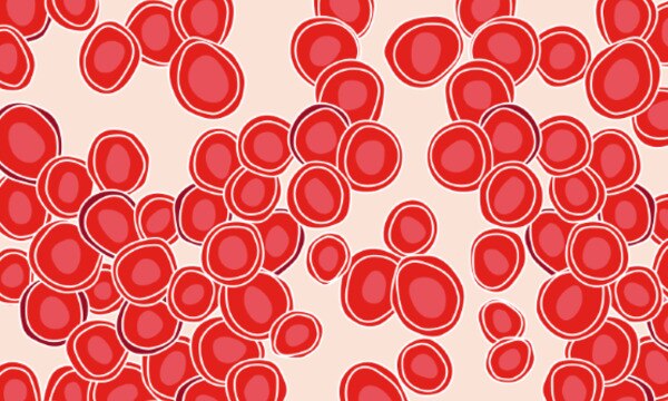 Article Gallery Red Blood Cells