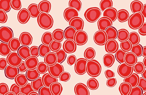Article Gallery Red Blood Cells