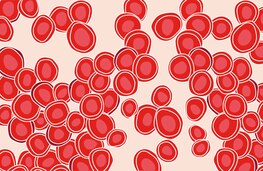 Article Gallery Red Blood Cells Mobile