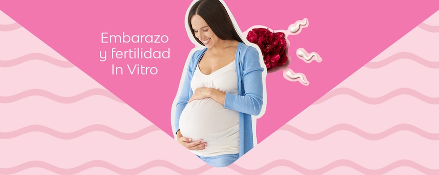 Saba Articulos Embarazo Y Fertilidad In Vitro