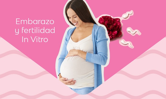 Embarazo y fertilidad In Vitro