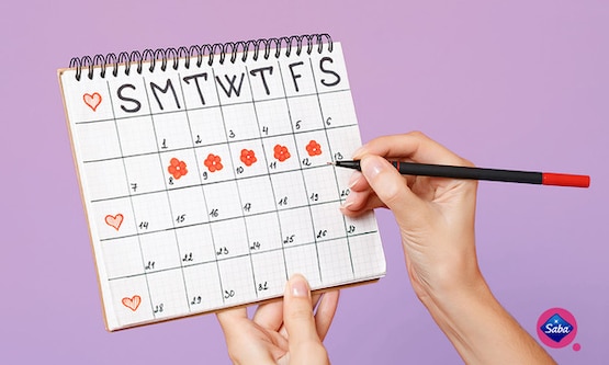 Fertility Everything About Ovulation