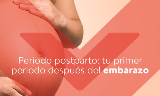 Tuprimerperiododespuesdelembarazo