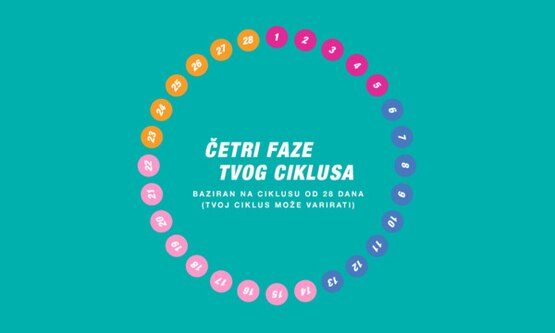 Ciklus od četiri faze