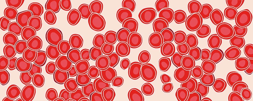 1500x600 Red Blood Cells