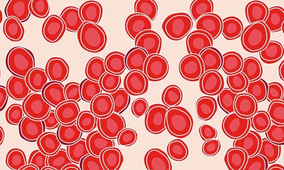 Red blood cells with a light red background