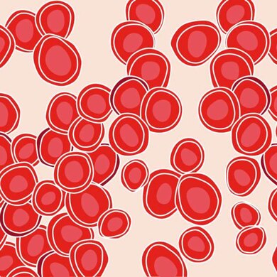 1500x600 Red Blood Cells