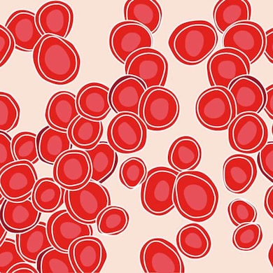 1500x600 Red Blood Cells