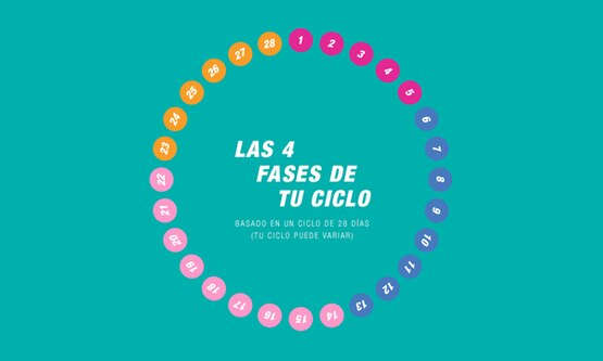 Imagen de las cuatro fases de tu ciclo - Saba