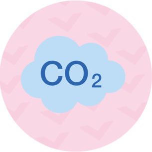 Picto Co2