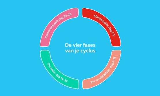 Feiten & fabels | Menstruatie en intieme gezondheid | Libresse