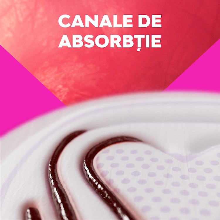 Libresse Svita Total Protection Master Mrsi With Absorption Channels Ro