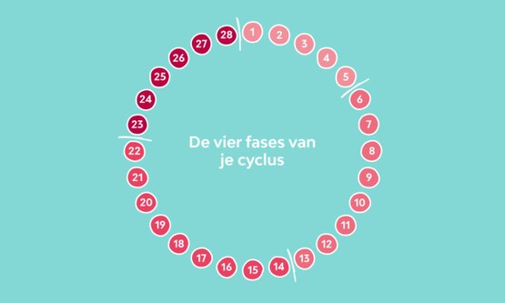 Wat is een menstruatiecyclus