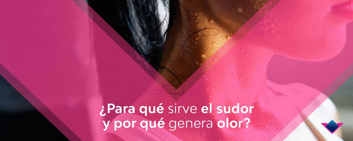 Para Que Irve Elsudor