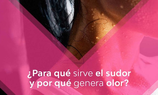 Para Que Irve Elsudor