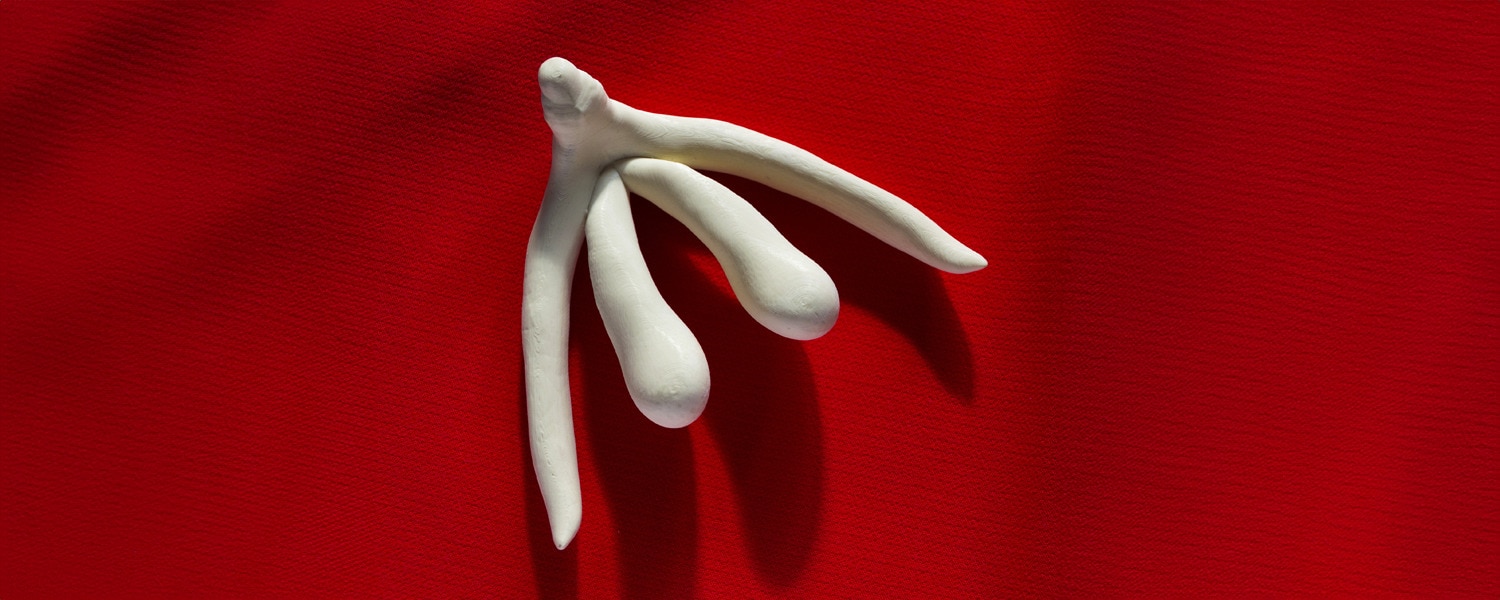 The Importance Of The Clitoris 1500x600